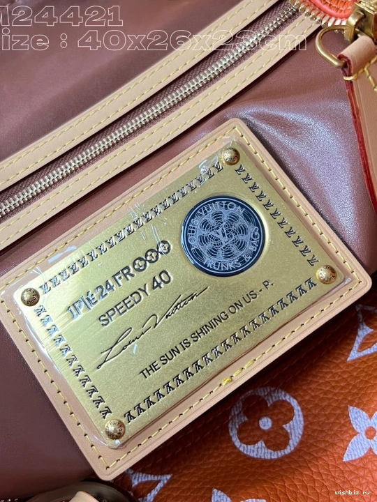 WIS SPEEDY Louis Vuitton 40 0307